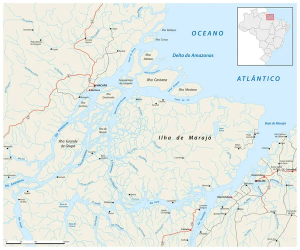 Brezilya Daki Amazon Delta Sının Yol Haritası — Stok Vektör