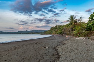 DRAKE BAY, COSTA RICA-MARCH 11, 2017: Puntarenas, Kostarenas 'taki küçük Drake Bay kasabasındaki plajda turistler