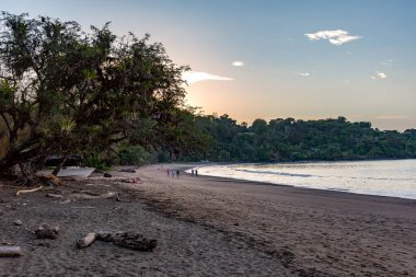 DRAKE BAY, COSTA RICA-MARCH 11, 2017: Tourists on the beach in the small town of Drake Bay, Puntarenas, Costa Rica clipart
