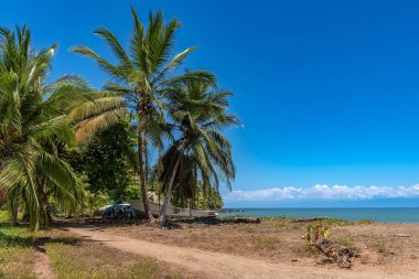 Puntarenas, Kosta Rika 'nın küçük Drake Körfezi' ndeki kumsal.
