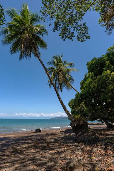 Puntarenas Kosta Rika Nın Küçük Drake Körfezi Ndeki Kumsal — Stok fotoğraf