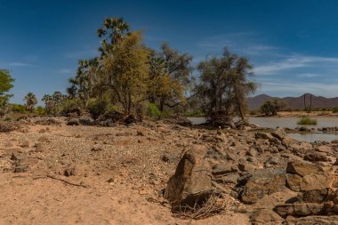 Kunene Nehri kıyılarındaki manzara, Namibya ve Angola arasındaki sınır nehri.