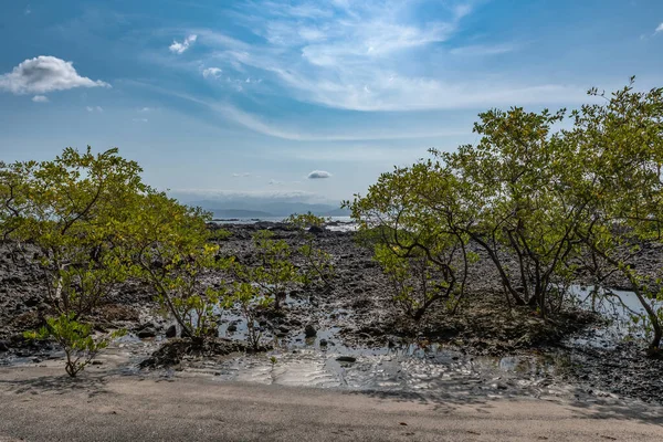 巴拿马塞巴科岛上的热带海滩 — 图库照片