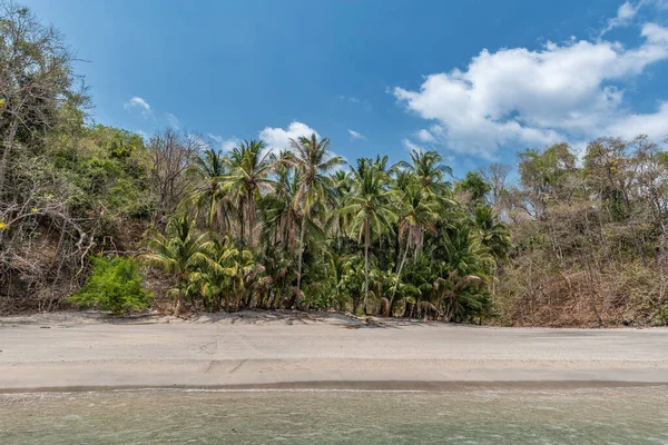 Tropikalna Plaża Wyspie Cebaco Panama — Zdjęcie stockowe