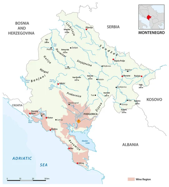 Vektorkarte Der Montenegrinischen Weinregionen Montenegro — Stockvektor