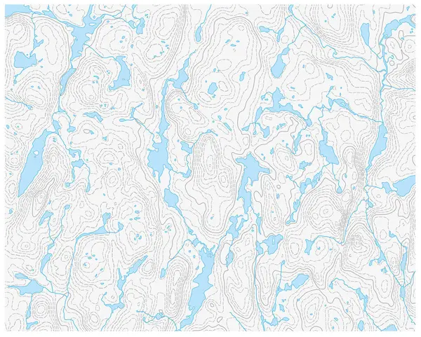 Carte Vectorielle Topographique Avec Lac Rivière Isoline — Image vectorielle