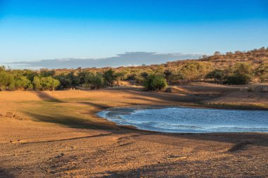 Erongo, Namibya 'da kurak savana manzarası