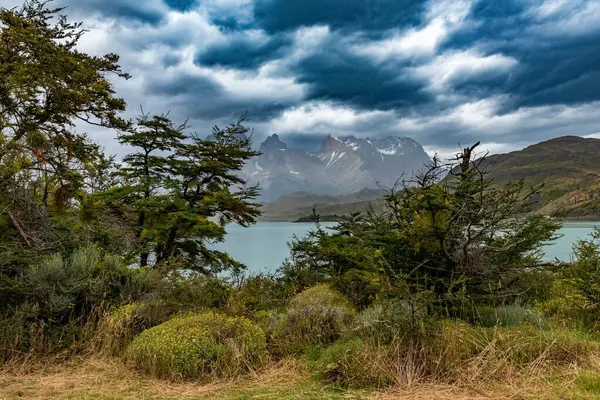 View Lake Pehoe Torres Del Paine National Park Chile — Stock Photo, Image
