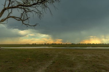 Rundu, Namibya 'nın doğusundaki Okavango Nehri manzarası