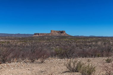 View of the Ugab valley with its table mountains, Damaraland, Namibia clipart