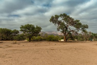 Damaraland, Namibya 'daki Brandberg Dağı' nda sabah sisi