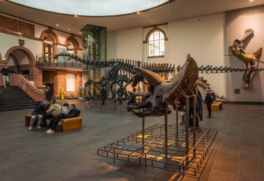 FRANKFURT AM MAIN, ALMANY-MARCH 09, 2022: Senckenberg Doğa Tarihi Müzesi, Frankfurt, Almanya