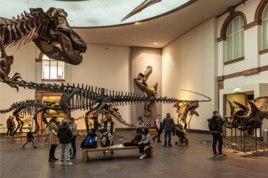 FRANKFURT AM MAIN, ALMANY-MARCH 09, 2022: Senckenberg Doğa Tarihi Müzesi, Frankfurt, Almanya