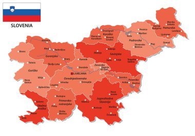 Slovenya 'nın 12 istatistiksel bölgesinin haritası