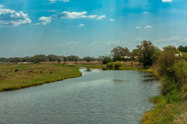 Botswana 'daki Chobe Nehri manzarası