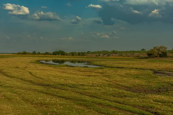 Вид Пейзаж Реке Чобе Ботсване — стоковое фото
