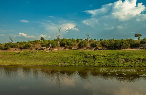 Вид Пейзаж Реке Чобе Ботсване — стоковое фото