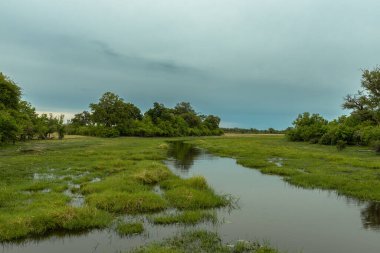 Botswana 'daki Khwai Nehri' nin güzel manzarası.
