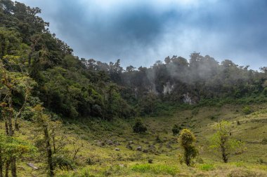 Volkan Baru Ulusal Parkı, Chiriqui, Panama 'da tropik yağmur ormanları