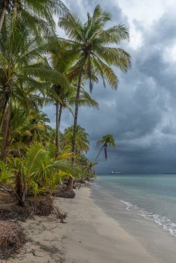 Boca del Drago, Bocas del Toro, Panama 'nın panoramik manzarası