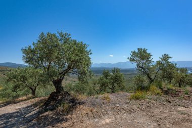 Gabriel y Galan rezervuarının manzarası, Extremadura, İspanya