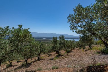 Gabriel y Galan rezervuarının manzarası, Extremadura, İspanya