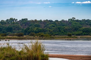 Landscape on the banks of the Okavango River in northern Namibia clipart