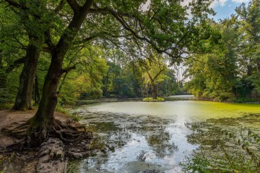 Frankfurt, Hesse, Almanya 'daki Nidda Nehri' nin yenilenmiş kolu