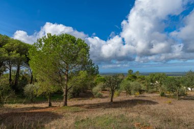 Portekiz, Alentejo 'daki güzel tepe manzarası