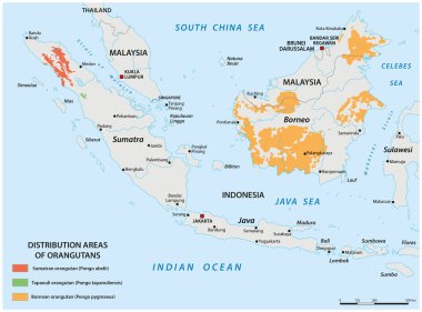 Map of the distribution areas of orangutans clipart