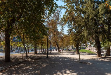 SANTIAGO, ŞİLİ-JANUARY 27, 2020: Santiago, Şili 'nin merkezindeki Park Ormanı