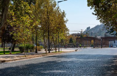 SANTIAGO, ŞİLİ-JANUARY 27, 2020: Santiago, Şili 'nin merkezindeki Park Ormanı