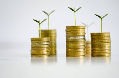 Group of coin in business concept.