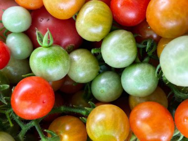 Meyve sağlığında taze kırmızı domates.