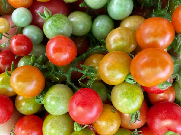 Fresh Red Tomato Fruit Healty — Stock Photo, Image