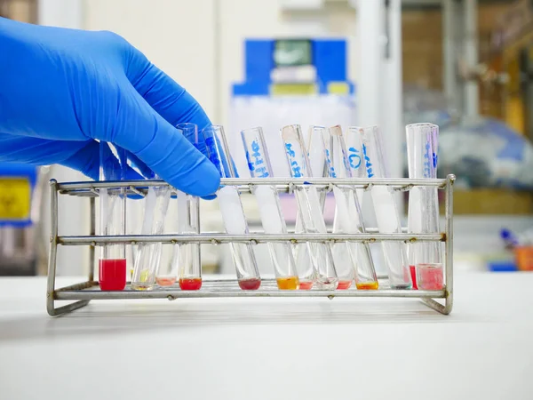 Cientista Com Luva Azul Testando Agrupamento Sangue Laboratório — Fotografia de Stock
