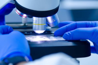 Modern laboratuarda çalışan mavi eldivenli bir bilim adamı..