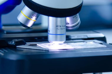 Modern laboratuarda çalışan mavi eldivenli bir bilim adamı..