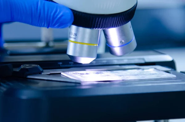 stock image Scientist with blue gloves working in modern laboratory.