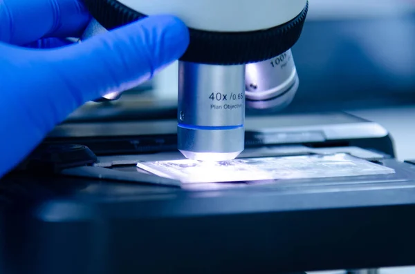 stock image Scientist with blue gloves working in modern laboratory.