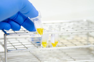 Modern laboratuvarda mavi eldivenle çalışan bir bilim adamı..