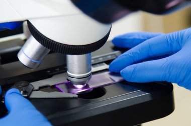 Modern laboratuvarda mavi eldivenle çalışan bir bilim adamı..