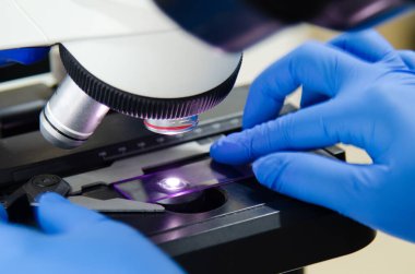 Modern laboratuvarda mavi eldivenle çalışan bir bilim adamı..