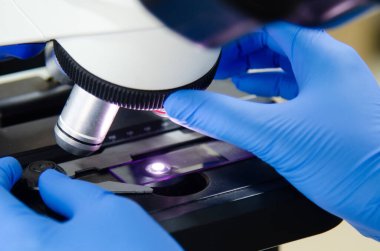 Modern laboratuvarda mavi eldivenle çalışan bir bilim adamı..