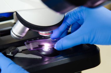 Modern laboratuvarda mavi eldivenle çalışan bir bilim adamı..