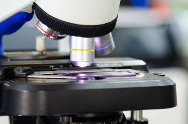 Modern laboratuvarda mavi eldivenle çalışan bir bilim adamı..