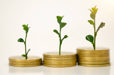 Büyüme parasından tasarruf edilen para grubu.