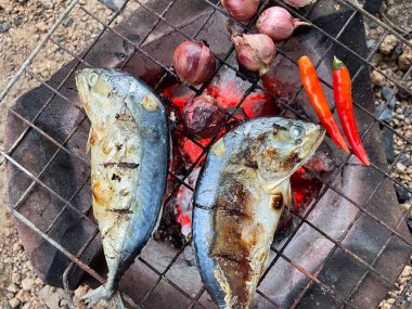 Tayland yemeği kavramında ızgara ton balığı..