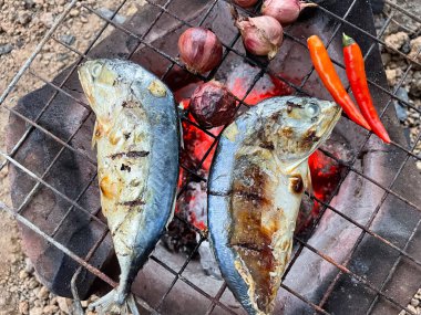 Tayland yemeği kavramında ızgara ton balığı..