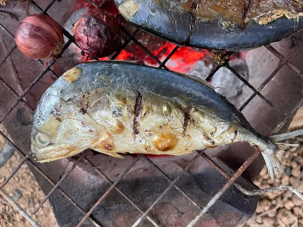 在泰国人食物概念下烧烤的金枪鱼 — 图库照片